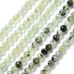 Natural Prehnite Beads Strands, Faceted, Round