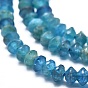Natural Apatite Beads Strands, Faceted, Bicone