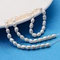 Grade A Natural Cultured Freshwater Pearl Strands, Idea for Mother's Day Gift, Rice Beads