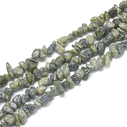 Natural Serpentine/Green Lace Stone Beads Strands, Chip