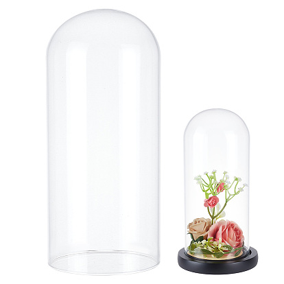 Стеклянные колпаки-купола, крышки колокольчика cloche, арка