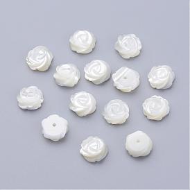 Natural Sea Shell Beads, Half-Hole Beads, Flower