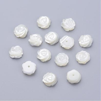 Natural Sea Shell Beads, Half-Hole Beads, Flower