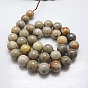 Natural Fossil Coral Beads Strands, Round, Hole: 1mm