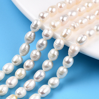 Natural Cultured Freshwater Pearl Beads Strands, Rice