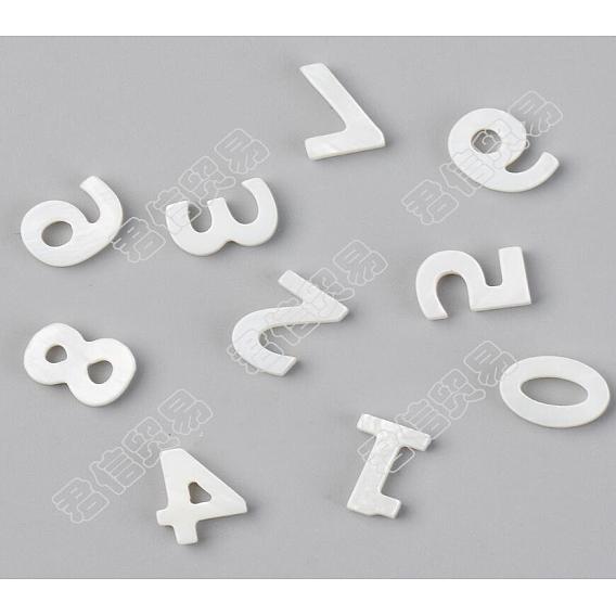 Natural Freshwater Shell Beads, Top Drilled Beads, Number
