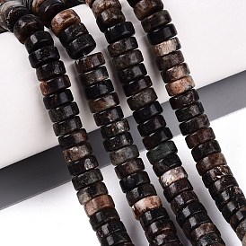 Natural Biotite Beads Strands, Disc, Heishi Beads