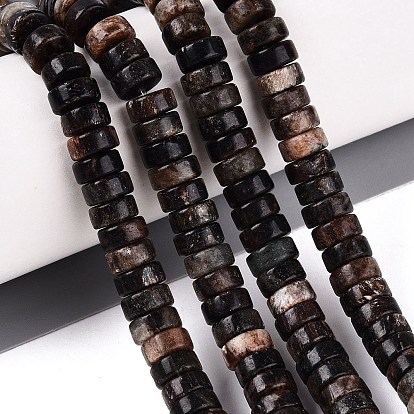 Natural Biotite Beads Strands, Disc, Heishi Beads