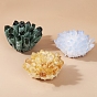 Décorations d'affichage en cristal de quartz druzy naturel, amas de quartz brut, nuggets
