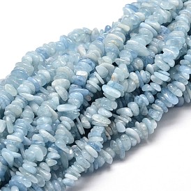 Aigue-marine naturelle perles de puce brins, 5~14x4~10mm, Trou: 1mm, environ 15.5 pouces ~16.1 pouces