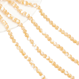 Natural Trochid Shell/Trochus Shell Beads Strands, Round