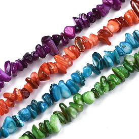  Natural Freshwater Shell Beads Strands, Chips