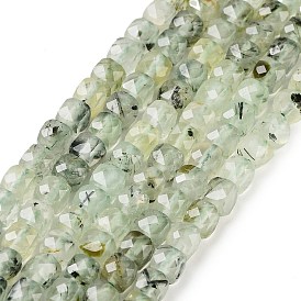 Natural Prehnite Beads Strands, Faceted, Cube