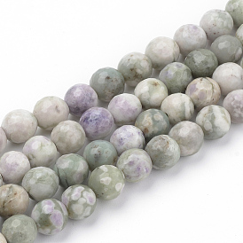 Natural Peace Jade Beads Strands, Faceted, Round