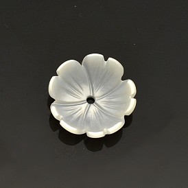 Flower Natural White Shell Beads, Mother of Pearl Shell Beads, 10x3mm, Hole: 0.5mm