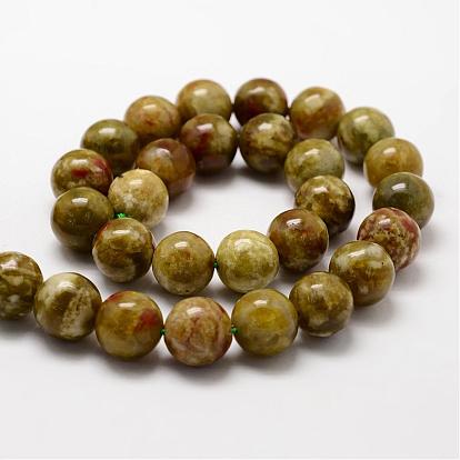 Round Natural Dragon Blood Jasper Beads Strands