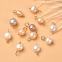 12Pcs 2 Colors Natural Cultured Freshwater Pearl Charms, with Platinum Brass Ball Head Pins, Oval