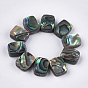Abalone Shell/Paua Shell Beads, Rectangle