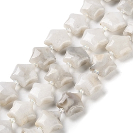 Natural White Crazy Lace Agate Beads Strands, with Seed Beads, Puffed Star