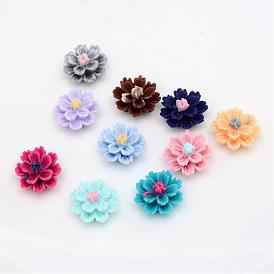 Resin Cabochons, Flower, 11~12x7mm