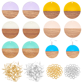 DIY Wooden Dangle Earring Making Kits, Including 12Pcs Flat Round Resin & Walnut Wood Pendants, 2 Colors Jump Rings