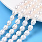 Natural Cultured Freshwater Pearl Beads Strands, Rice