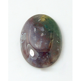 Природного индийского агата кабошонов, овальные, Индийская красная