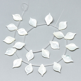 Natural White Shell Mother of Pearl Shell Pendants, Leaf