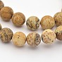 Natural Picture Jasper Beads Strands, Frosted, Round