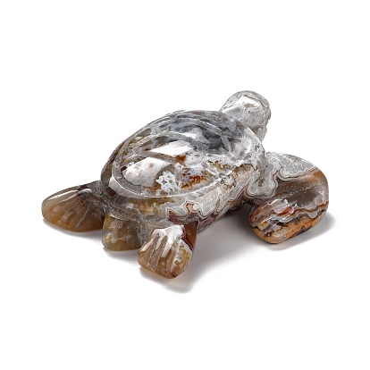 Natural Mexican Agate Display Decorations, Turtle