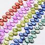Natural Shell Beads Strands, Top Drilled Beads, Dyed, Teardrop