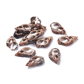 Natural Spiral Shell Beads, No Hole/Undrilled