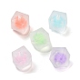 Transparent Acrylic Beads, Bead in Beads, Frosted