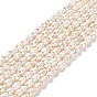 Нити из натурального культивированного пресноводного жемчуга, рис, класс +