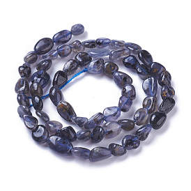 Natural Iolite Beads Strands, Tumbled Stone, Nuggets