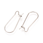 304 Stainless Steel Hoop Earrings Findings