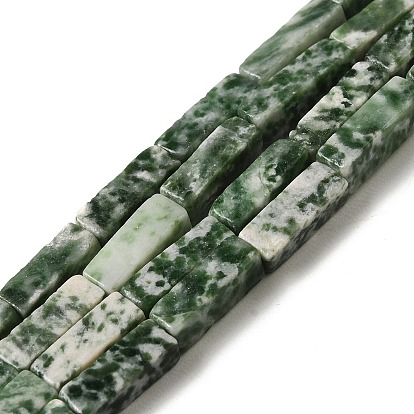 Natural Green Spot Jasper Beads Strands, Rectangle