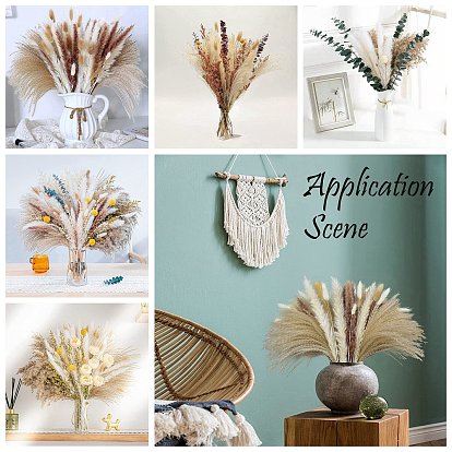Mini Dried Pampas Grass, Dried Flowers Reed Grass Bouquet for Wedding Party Home Table Decoration