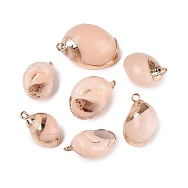 Pendentifs en coquillage spiralé naturel avec garniture en laiton doré électroplaqué, charmes de conque