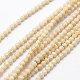 Natural Fossil Beads Strands, Faceted, Round