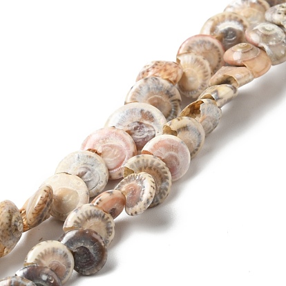 Natural Spiral Shell Beads Strands