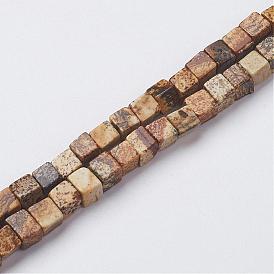 Natural Picture Jasper Beads Strands, Cube