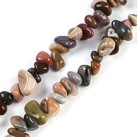 Natural Alashan Agate Beads Strands, Chip