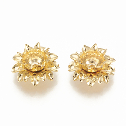 Coupelles en laiton, multi-pétale, fleur, sans nickel, réel 18 k plaqué or