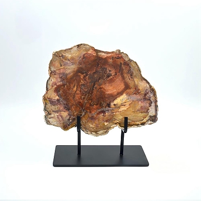 Натуральный окаменевший срез древесины на черной железной подставке, деревенский декор для дома
