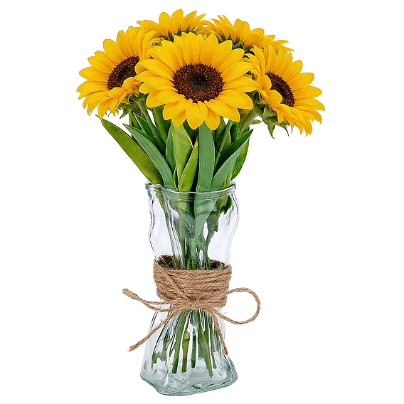 1Pc Glass Art Vase, for Home Office Desk, with 1M Jute Cord