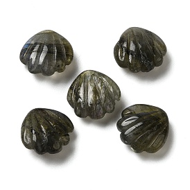 Natural Labradorite Carved Beads, No Hole, Shell Shape