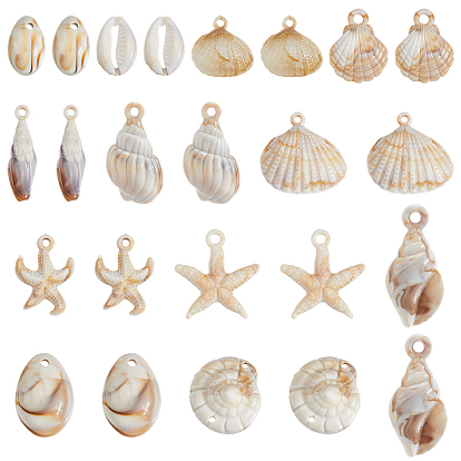 48шт. 12 стили, морская тематика, непрозрачные акриловые подвески, форма раковины гребешка