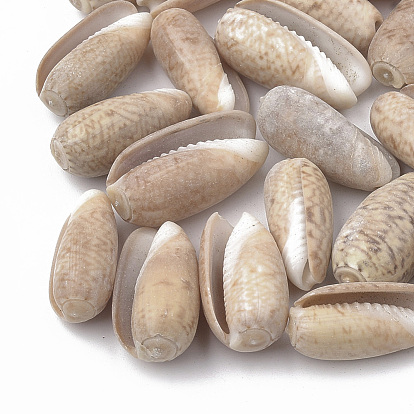 Spiral Shell Beads, Undrilled/No Hole Beads