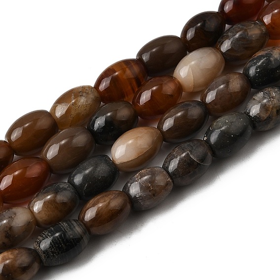 Природные окаменелое дерево бисер пряди, овальные